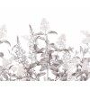 Honpo | Flower Field